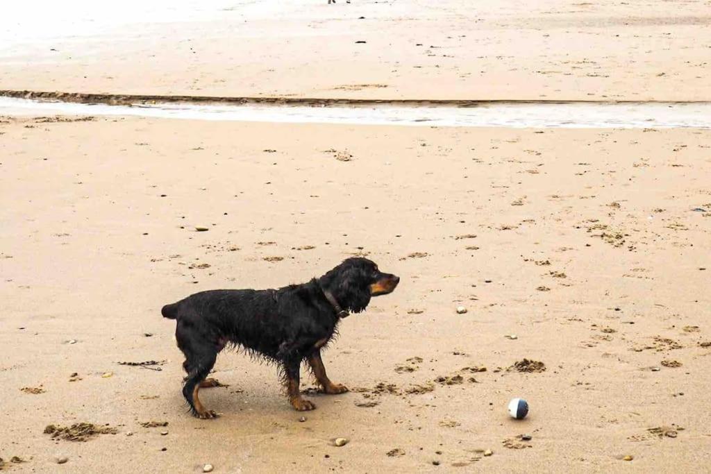 Large Cottage, Beach, Pubs Shops, Netflix, Bbq, Dog Friendly Ганменбай Екстер'єр фото